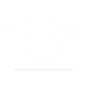src/AutoPilotPlugins/PX4/Images/CameraComponentIcon.png